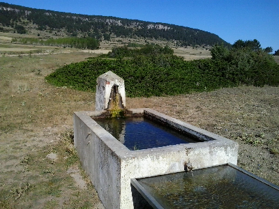 Imagen NUEVA O FUENTE BLANCA