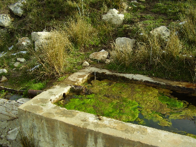 Imagen GAMELLONES DEL TÍO CARASO